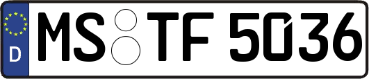 MS-TF5036