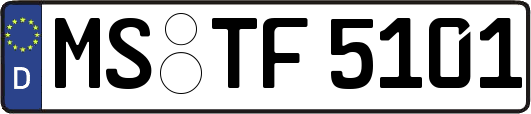 MS-TF5101