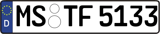 MS-TF5133