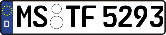 MS-TF5293