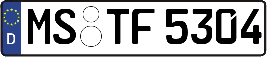 MS-TF5304
