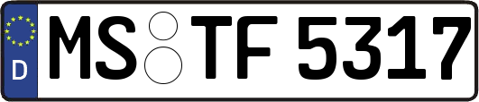 MS-TF5317