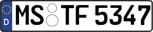 MS-TF5347