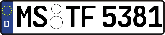 MS-TF5381