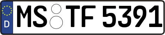 MS-TF5391
