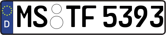 MS-TF5393