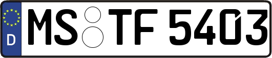 MS-TF5403