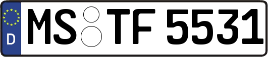 MS-TF5531