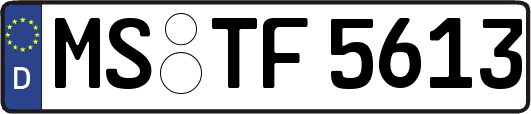 MS-TF5613
