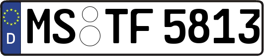 MS-TF5813