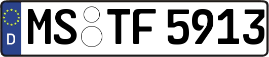 MS-TF5913