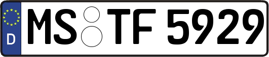 MS-TF5929
