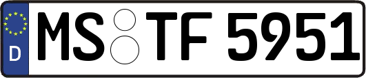 MS-TF5951