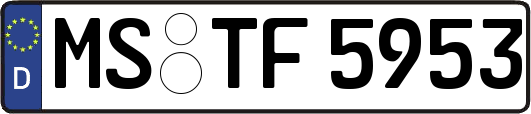 MS-TF5953