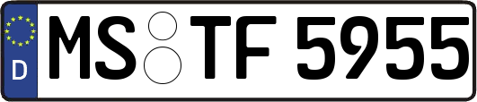 MS-TF5955