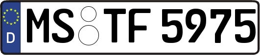 MS-TF5975