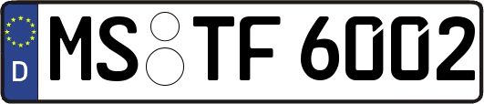 MS-TF6002