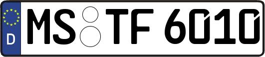 MS-TF6010