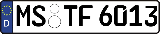 MS-TF6013