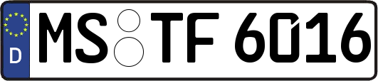 MS-TF6016