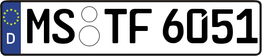 MS-TF6051