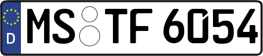 MS-TF6054
