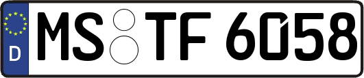 MS-TF6058