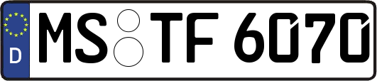 MS-TF6070