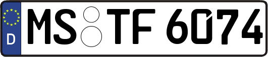 MS-TF6074