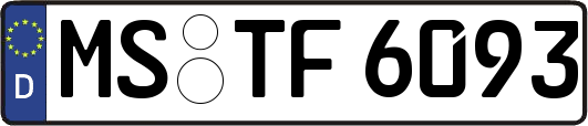 MS-TF6093