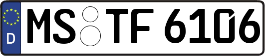 MS-TF6106