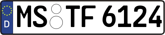MS-TF6124