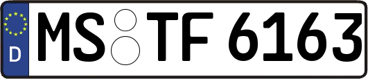 MS-TF6163