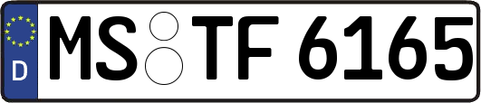 MS-TF6165