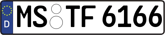 MS-TF6166