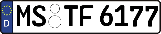MS-TF6177