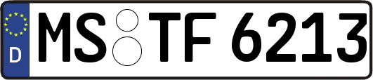 MS-TF6213