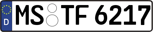 MS-TF6217