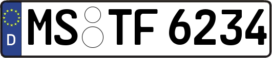 MS-TF6234