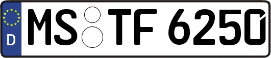 MS-TF6250