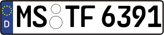 MS-TF6391