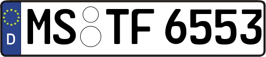 MS-TF6553