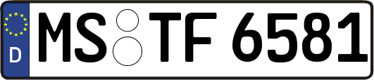 MS-TF6581