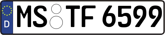 MS-TF6599