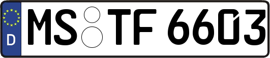 MS-TF6603
