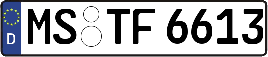 MS-TF6613