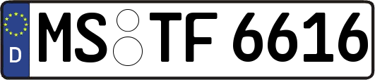 MS-TF6616