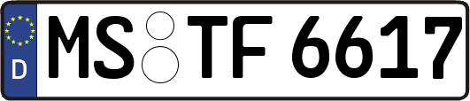 MS-TF6617