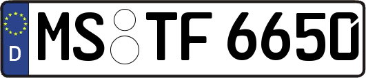 MS-TF6650