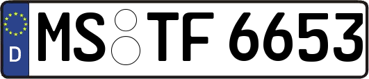 MS-TF6653
